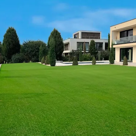 Palazzo In *